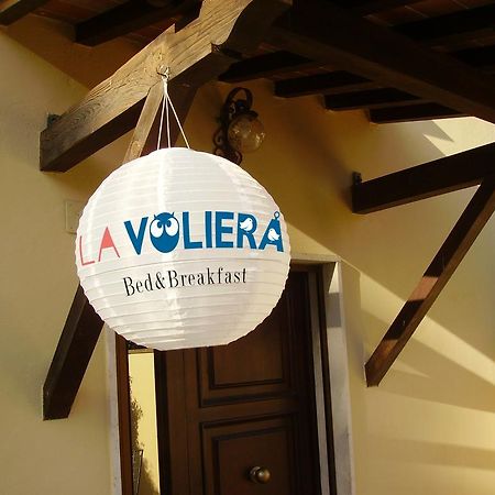 La Voliera Bed & Breakfast Pisa Ngoại thất bức ảnh